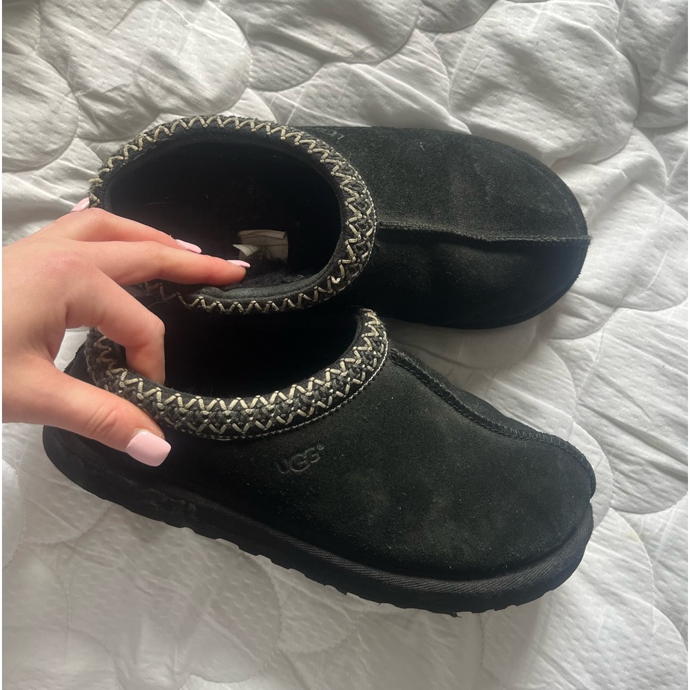 Tasman uggs